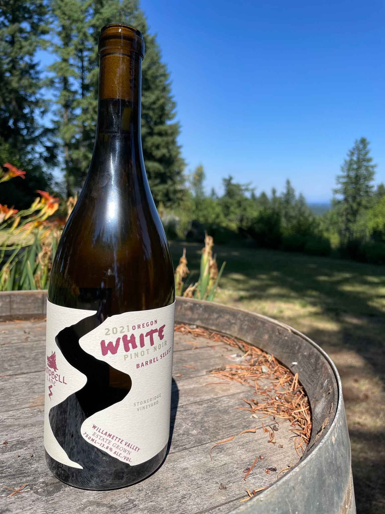 Estate Grown Barrel Select White Pinot Noir