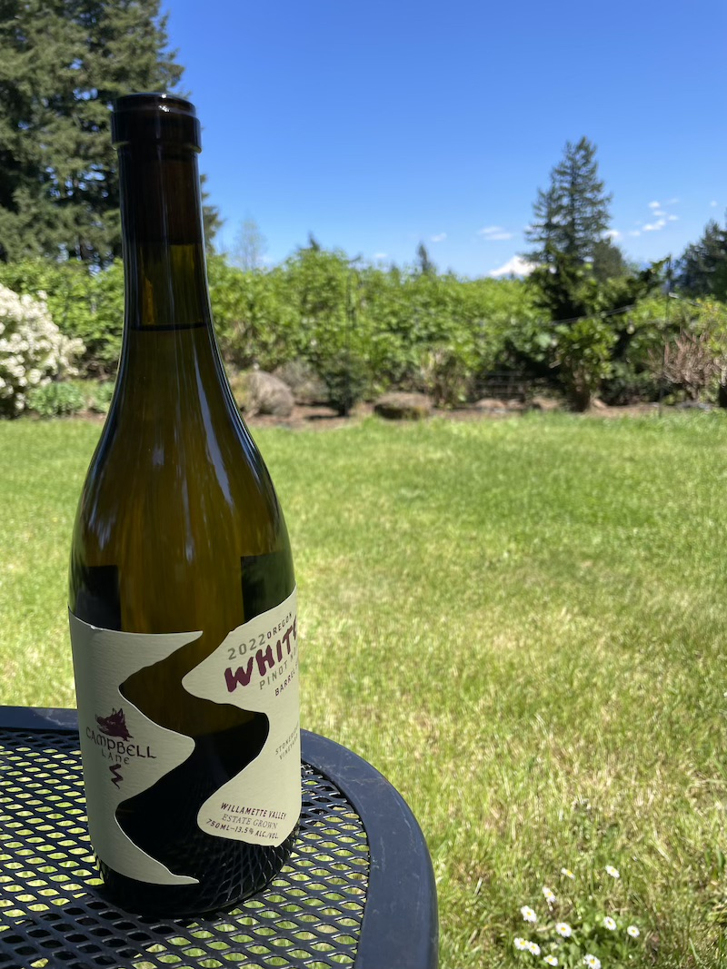 White Pinot Noir Estate Grown